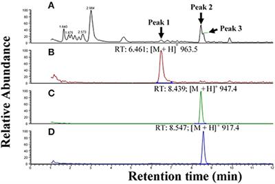 The Adipokinetic Peptides in Diptera: Structure, Function, and Evolutionary Trends